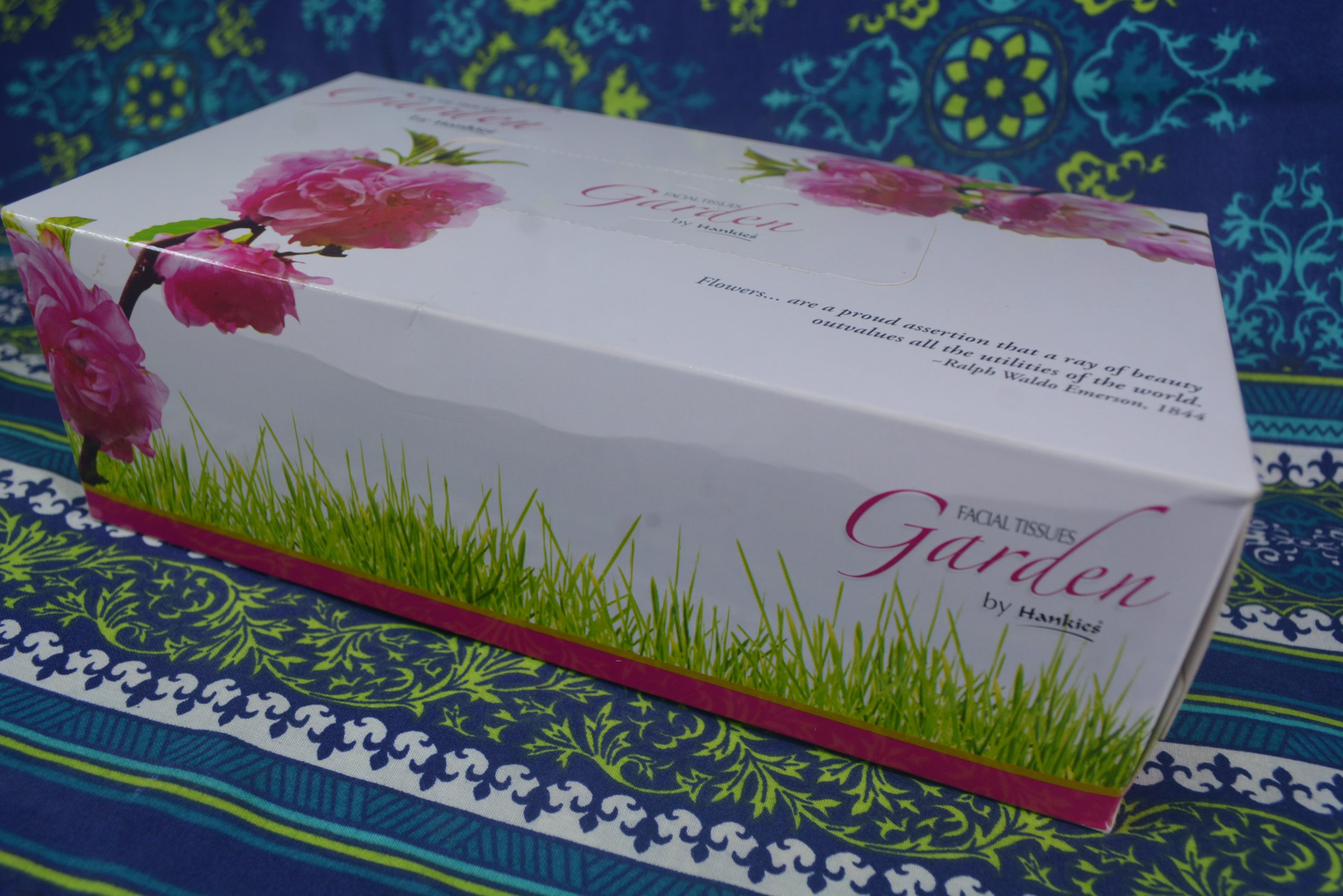 garden tissue box (3)